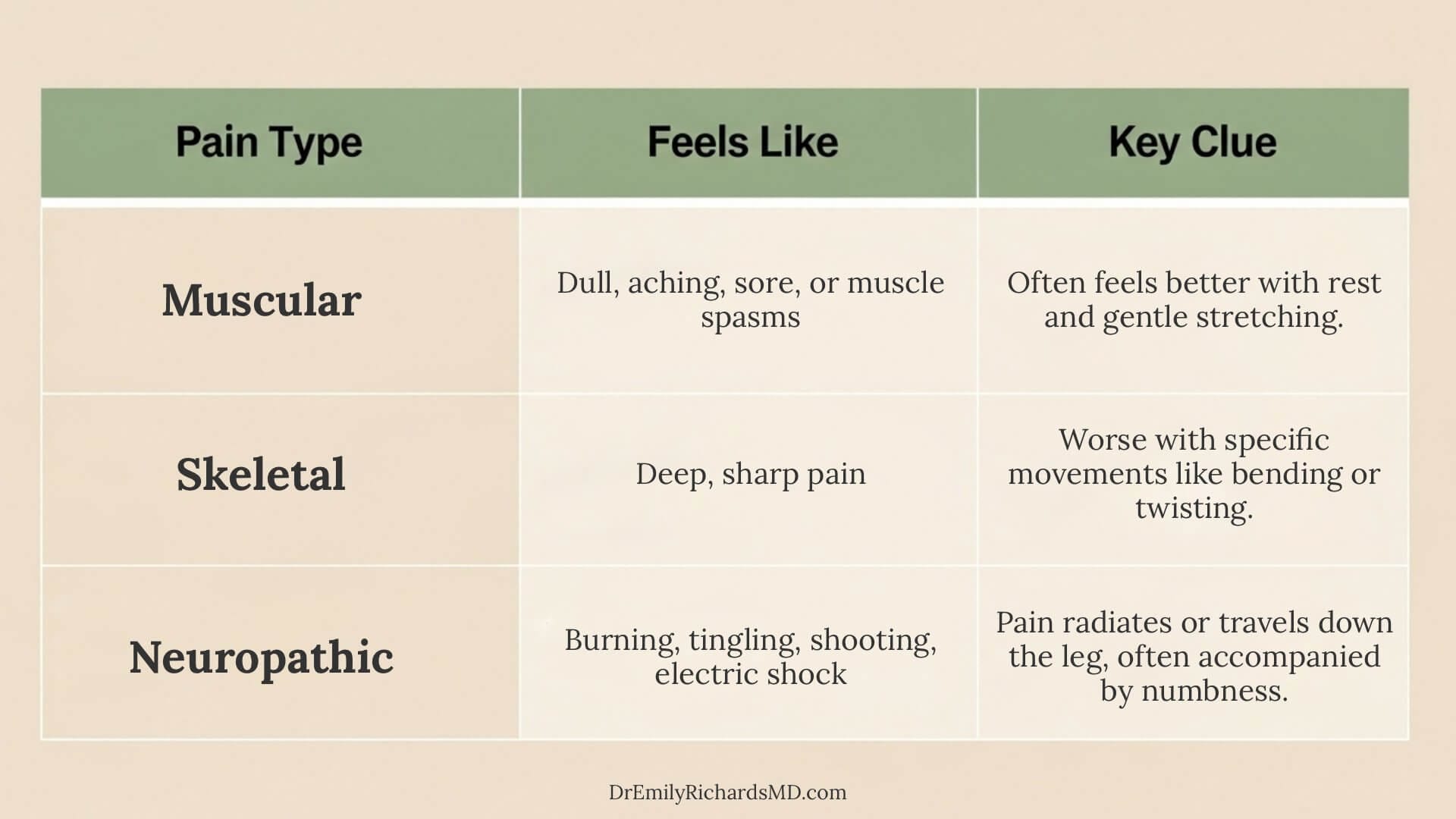 3 Types of Back Pain: A Doctor's Guide to Decode Your Pain